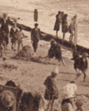 Thumbnail Image 1