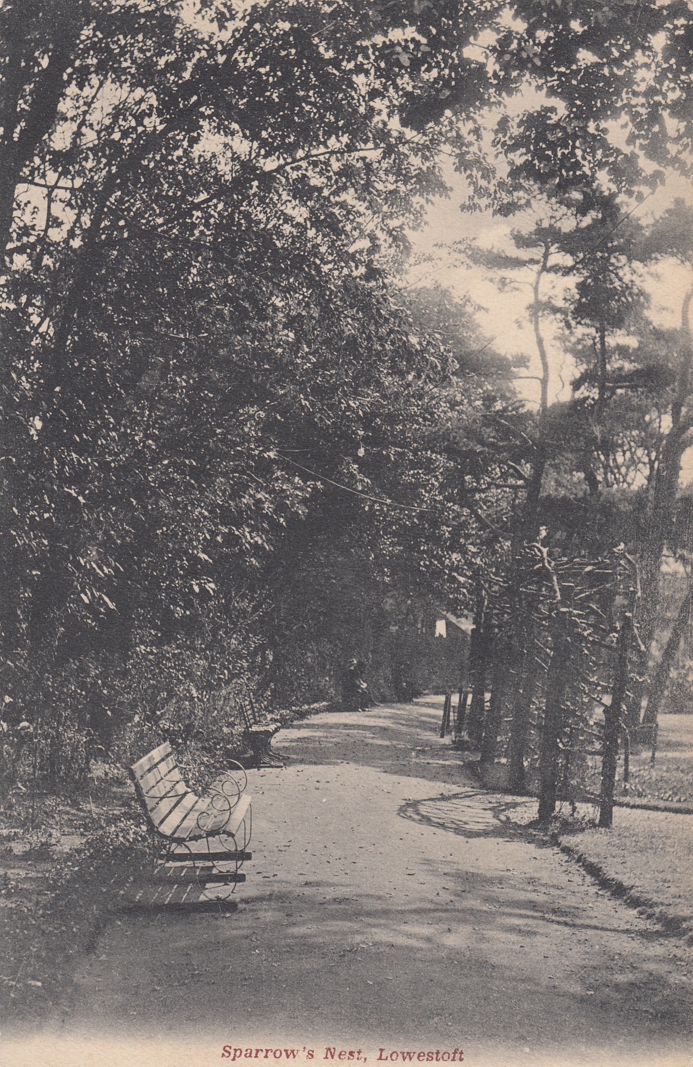 Thumbnail Image 1