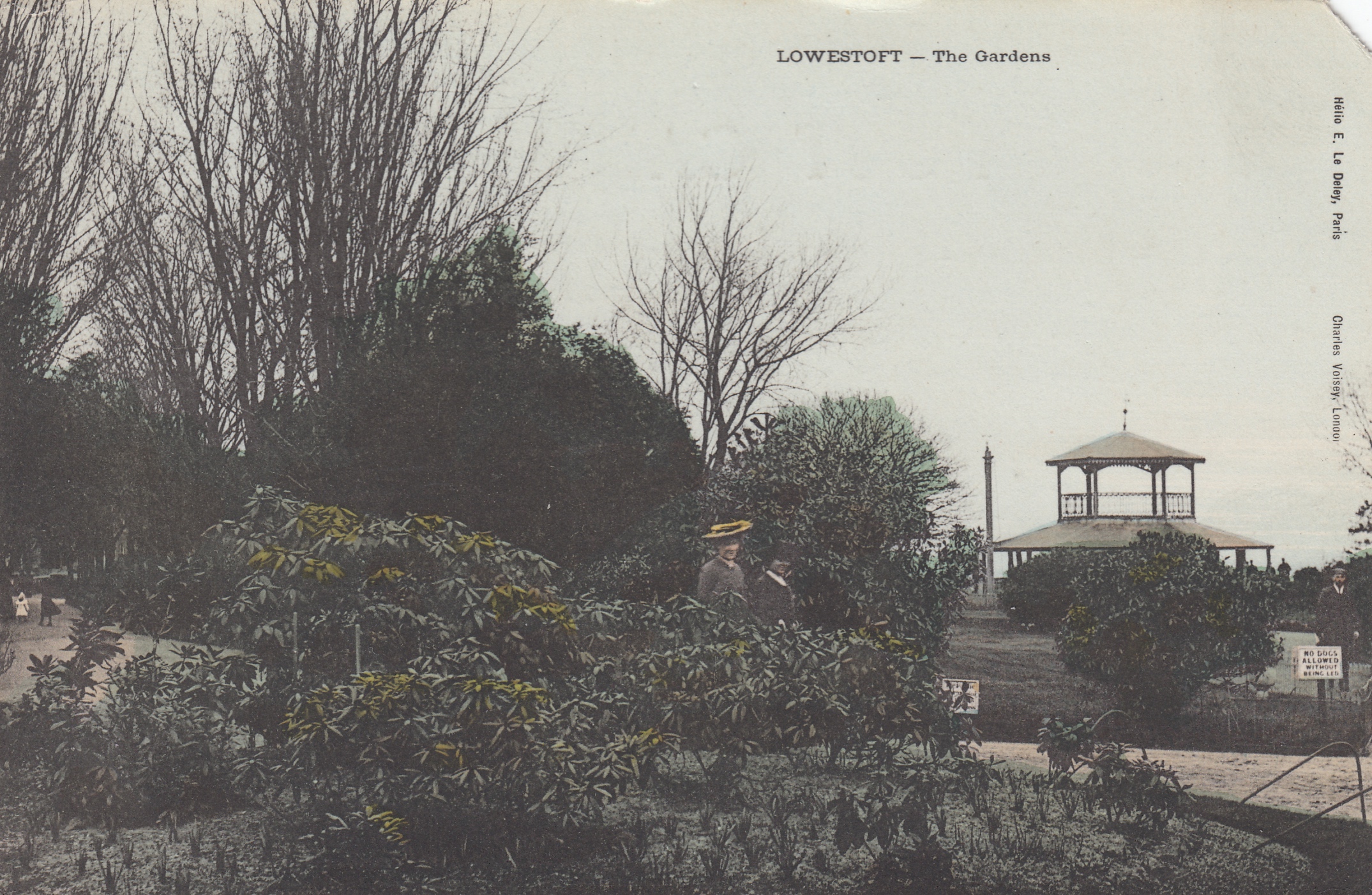 Thumbnail Image 1