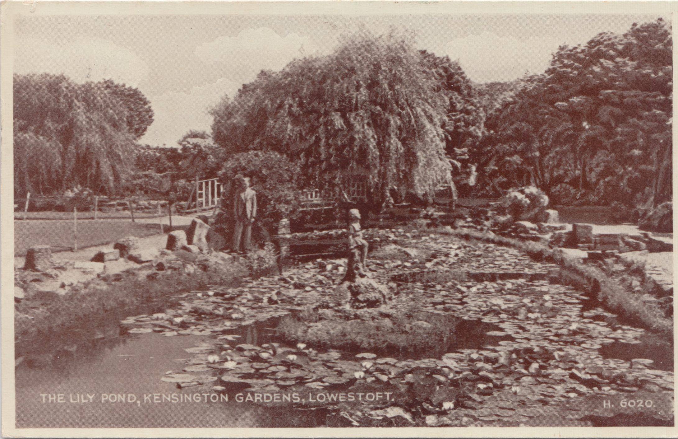 Thumbnail Image 1