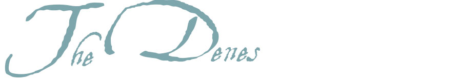 The Denes